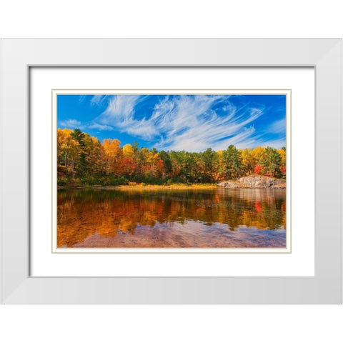 Canada-Ontario-Chutes Provincial Park Reflection on the Aux Sables River in autumn White Modern Wood Framed Art Print with Double Matting by Jaynes Gallery