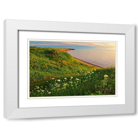 Canada-Prince Edward Island-Campbelton Red sand and bluffs along Northumberland Strait White Modern Wood Framed Art Print with Double Matting by Jaynes Gallery
