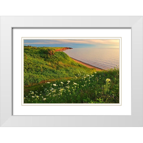 Canada-Prince Edward Island-Campbelton Red sand and bluffs along Northumberland Strait White Modern Wood Framed Art Print with Double Matting by Jaynes Gallery