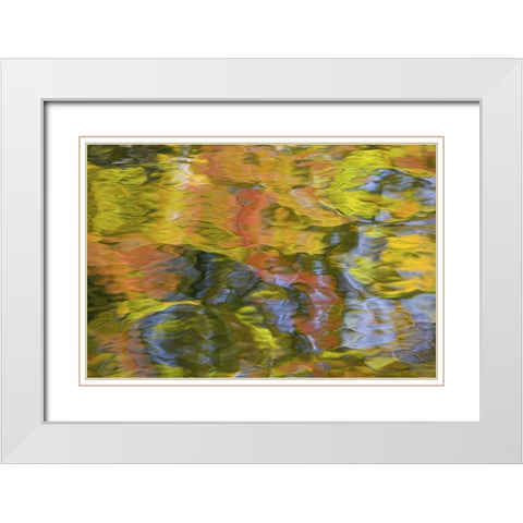 Quebec, Canada Autumn reflects on water patterns White Modern Wood Framed Art Print with Double Matting by Delisle, Gilles