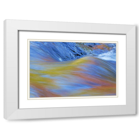 Canada, Quebec Autumn along Riviere du Nord White Modern Wood Framed Art Print with Double Matting by Delisle, Gilles