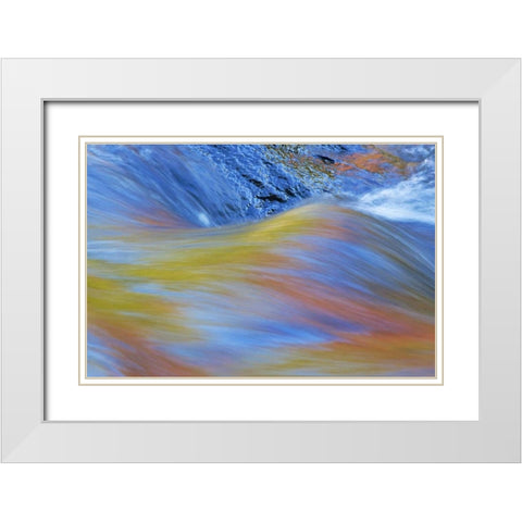 Canada, Quebec Autumn along Riviere du Nord White Modern Wood Framed Art Print with Double Matting by Delisle, Gilles