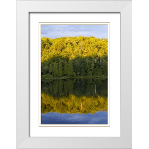 Canada, Quebec, Sunset on Lake Long Pond White Modern Wood Framed Art Print with Double Matting by Delisle, Gilles