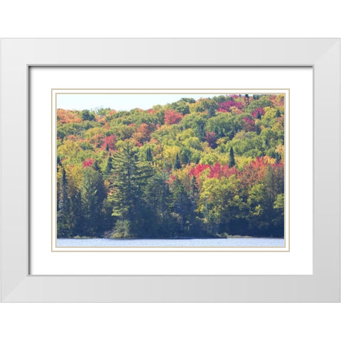 Canada, Quebec Fall colors along Lake Monroe White Modern Wood Framed Art Print with Double Matting by Delisle, Gilles