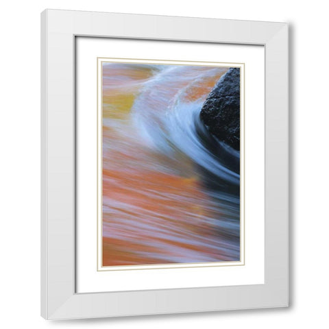 Canada, Quebec Autumn along Riviere du Nord White Modern Wood Framed Art Print with Double Matting by Delisle, Gilles