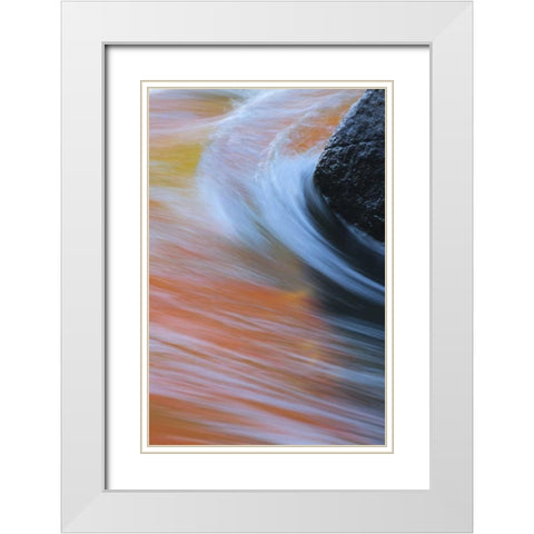 Canada, Quebec Autumn along Riviere du Nord White Modern Wood Framed Art Print with Double Matting by Delisle, Gilles