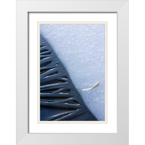 Canada, Quebec, Lakeshore ice White Modern Wood Framed Art Print with Double Matting by Delisle, Gilles
