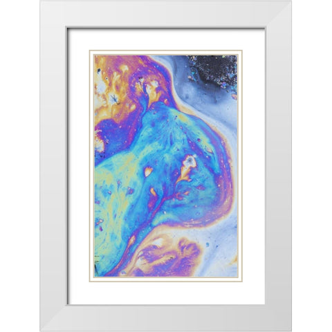 Canada, Quebec, Natural plant oil display White Modern Wood Framed Art Print with Double Matting by Delisle, Gilles