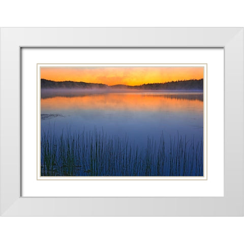 Canada-Quebec-Chibougamau Fog over Lac Sauvage at dawn White Modern Wood Framed Art Print with Double Matting by Jaynes Gallery
