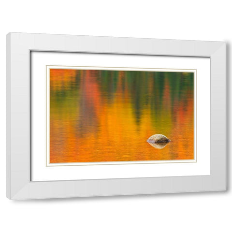 Canada-Quebec-La Mauricie National Park Rock and autumn colors reflected in Lac Wapizagonke White Modern Wood Framed Art Print with Double Matting by Jaynes Gallery