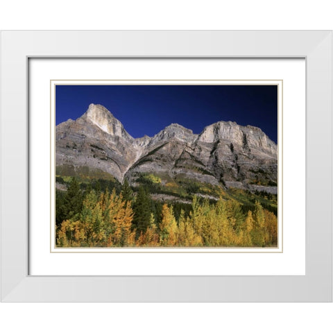 Canada, Saskatchewan, Banff NP White Modern Wood Framed Art Print with Double Matting by Grandmaison, Mike