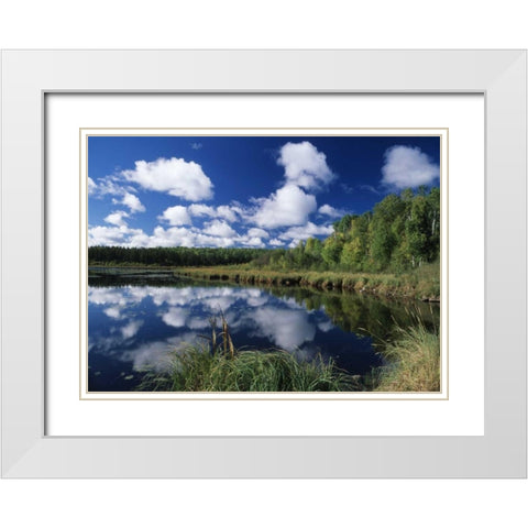 Canada, Saskatchewan,Prince Albert NP, Pond White Modern Wood Framed Art Print with Double Matting by Grandmaison, Mike