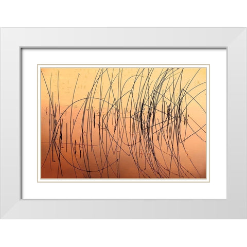 Canada-Saskatchewan-Saskatoon Island Provincial Park Reeds reflect on Saskatoon Lake at sunrise White Modern Wood Framed Art Print with Double Matting by Jaynes Gallery