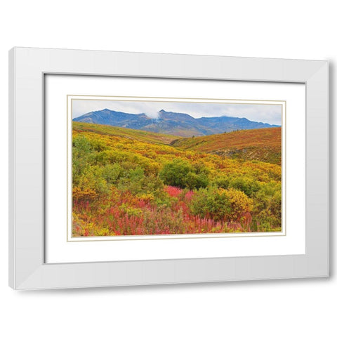 Canada-Yukon Autumn-colored hills and fog White Modern Wood Framed Art Print with Double Matting by Jaynes Gallery