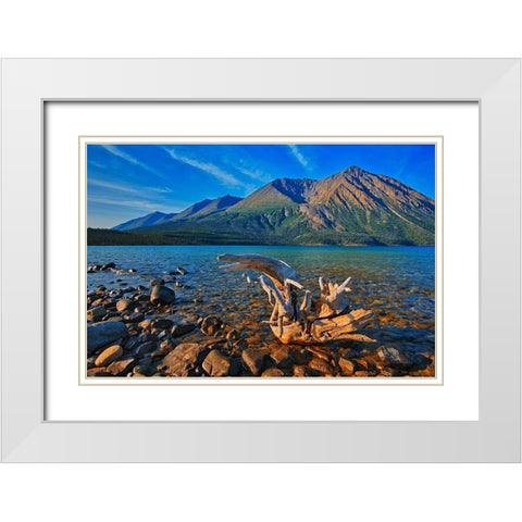 Canada-Yukon-Kluane National Park St Elias Mountains and driftwood on shore of Kathleen Lake White Modern Wood Framed Art Print with Double Matting by Jaynes Gallery