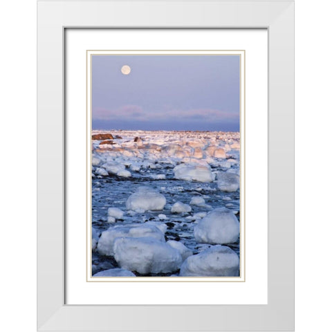 Canada, Hudson Bay Sunset and full moon rising White Modern Wood Framed Art Print with Double Matting by Illg, Cathy and Gordon