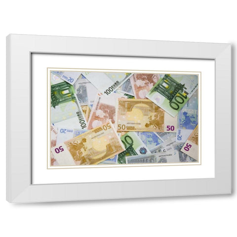 Montage of miscellaneous Euro currency White Modern Wood Framed Art Print with Double Matting by Flaherty, Dennis