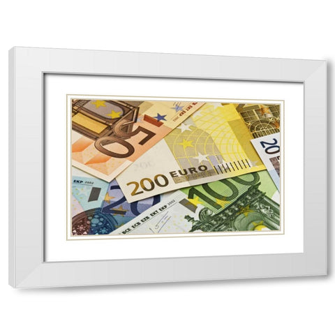Close-up of assorted Euro paper currency White Modern Wood Framed Art Print with Double Matting by Flaherty, Dennis