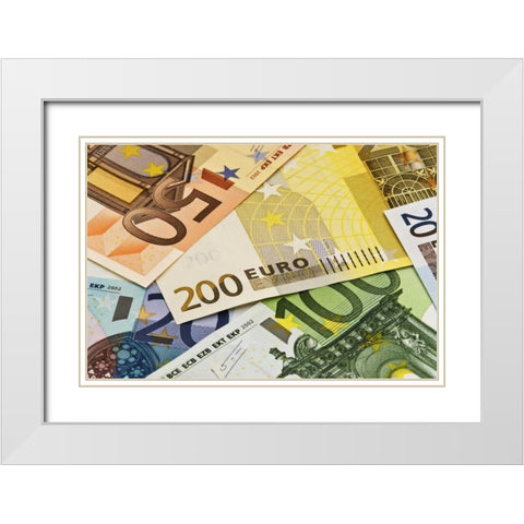 Close-up of assorted Euro paper currency White Modern Wood Framed Art Print with Double Matting by Flaherty, Dennis