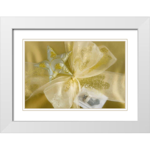 Detail of decorations on a Christmas gift White Modern Wood Framed Art Print with Double Matting by Paulson, Don