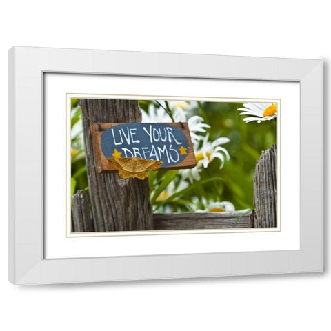 Moth on garden sign with daisies in background White Modern Wood Framed Art Print with Double Matting by Rotenberg, Nancy
