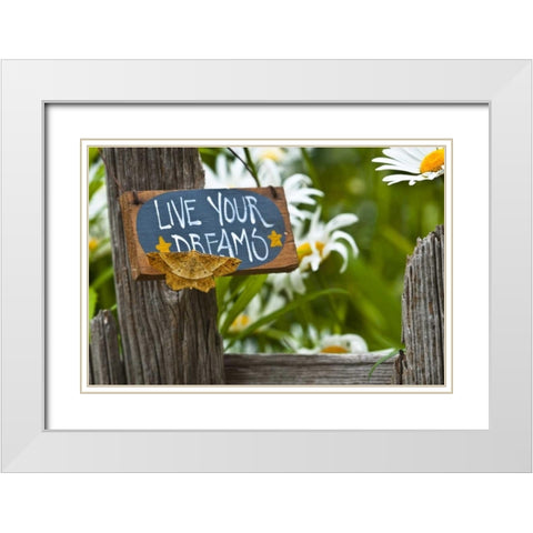 Moth on garden sign with daisies in background White Modern Wood Framed Art Print with Double Matting by Rotenberg, Nancy