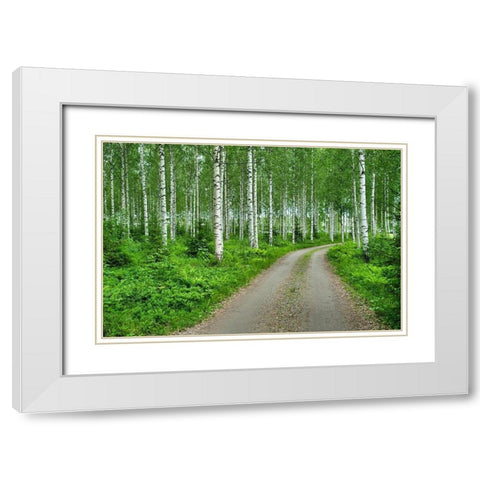 Finlandia-Savonlinna-dirt road in a birches forest White Modern Wood Framed Art Print with Double Matting by Molinari, Michele