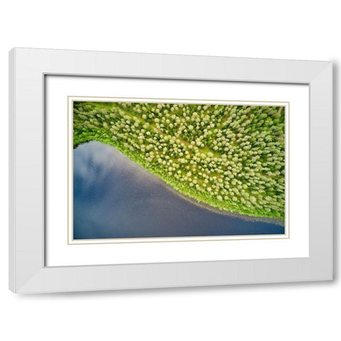 Finlandia-Savonlinna-aerial view-forest and lake White Modern Wood Framed Art Print with Double Matting by Molinari, Michele