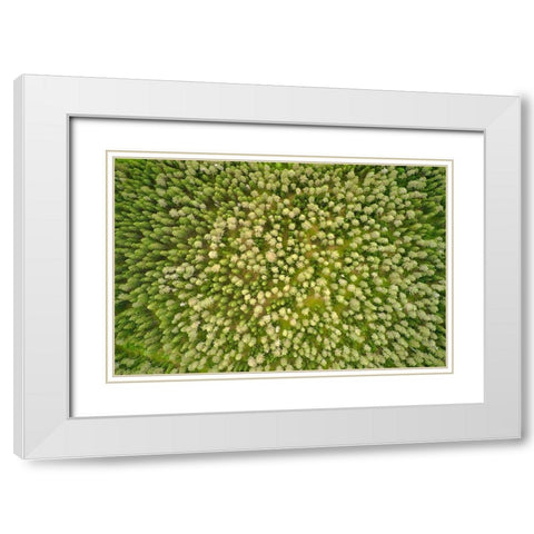 Finlandia-Savonlinna-aerial view White Modern Wood Framed Art Print with Double Matting by Molinari, Michele