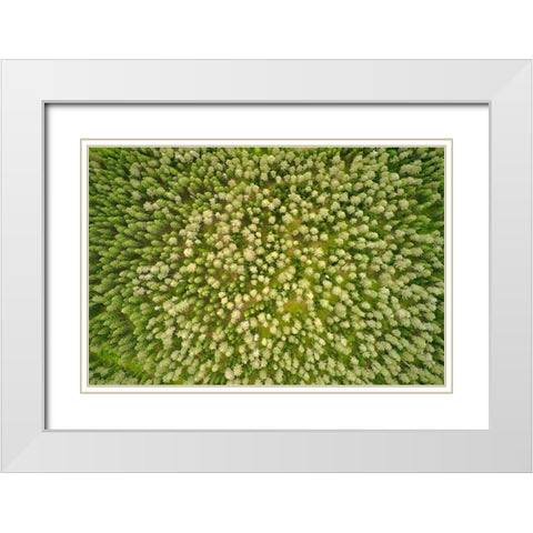 Finlandia-Savonlinna-aerial view White Modern Wood Framed Art Print with Double Matting by Molinari, Michele