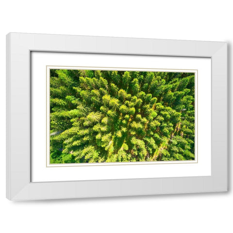 Finlandia-Savonlinna-aerial view White Modern Wood Framed Art Print with Double Matting by Molinari, Michele