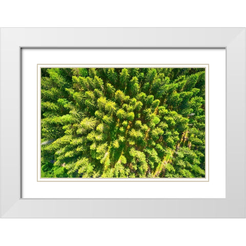 Finlandia-Savonlinna-aerial view White Modern Wood Framed Art Print with Double Matting by Molinari, Michele