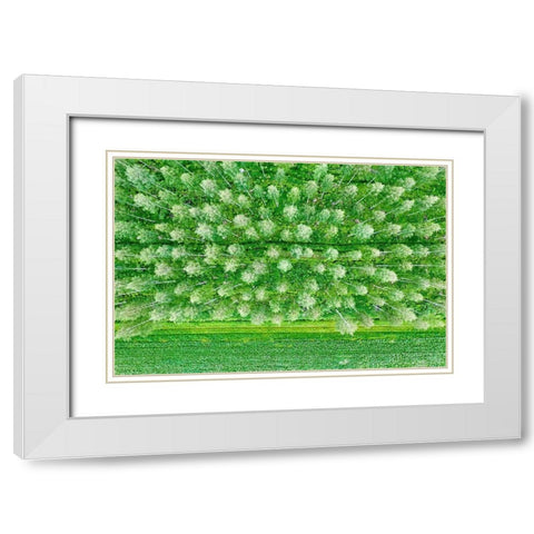 Finlandia-Savonlinna-forest White Modern Wood Framed Art Print with Double Matting by Molinari, Michele