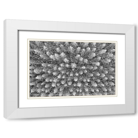 Finlandia-Savonlinna-forest White Modern Wood Framed Art Print with Double Matting by Molinari, Michele