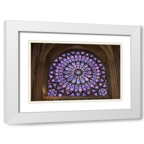 France, Paris Notre Dame Cathedral interior White Modern Wood Framed Art Print with Double Matting by Zuckerman, Jim