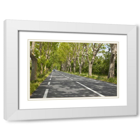 France, Provence Cars on tree-lined street White Modern Wood Framed Art Print with Double Matting by Lord, Fred