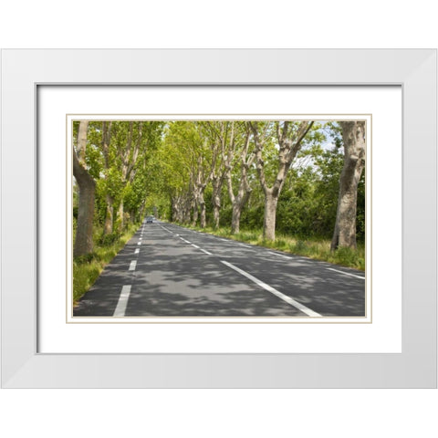 France, Provence Cars on tree-lined street White Modern Wood Framed Art Print with Double Matting by Lord, Fred