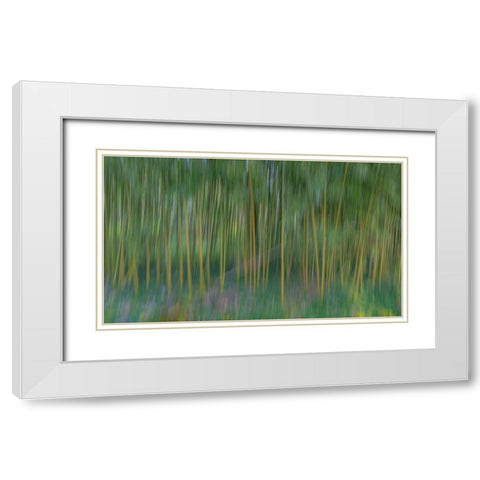 France-Giverny Abstract of bamboo forest in Monets Garden  White Modern Wood Framed Art Print with Double Matting by Jaynes Gallery