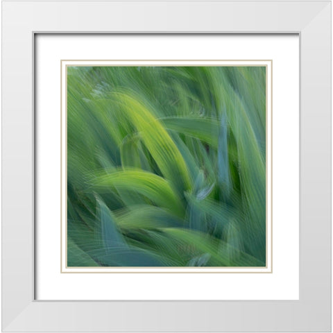 France-Giverny Abstract of green leaves  White Modern Wood Framed Art Print with Double Matting by Jaynes Gallery