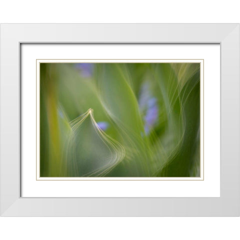 France-Giverny Abstract of green leaves  White Modern Wood Framed Art Print with Double Matting by Jaynes Gallery