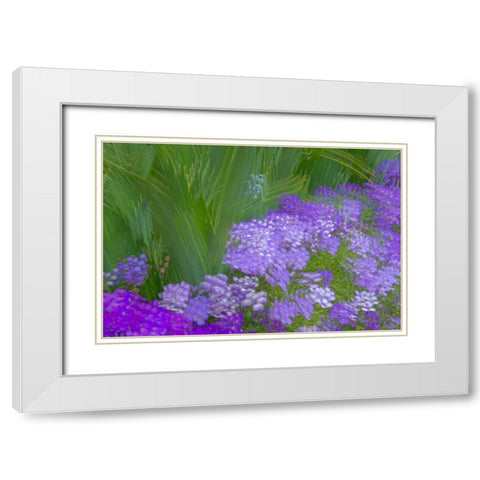 France-Giverny Impression of flowers in Monets Garden  White Modern Wood Framed Art Print with Double Matting by Jaynes Gallery
