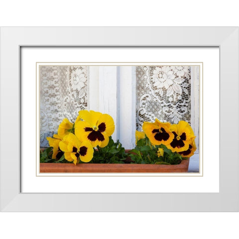 France-Giverny Yellow pansies and lace curtain  White Modern Wood Framed Art Print with Double Matting by Jaynes Gallery