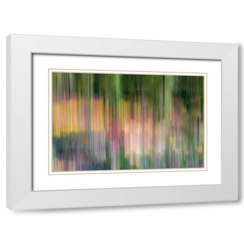 France-Giverny Abstract of flowers in Monets Garden  White Modern Wood Framed Art Print with Double Matting by Jaynes Gallery