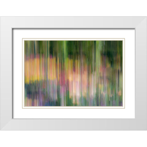 France-Giverny Abstract of flowers in Monets Garden  White Modern Wood Framed Art Print with Double Matting by Jaynes Gallery
