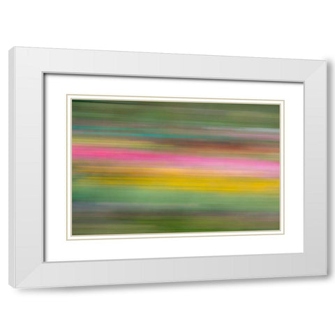 France-Giverny Abstract of flowers in Monets Garden  White Modern Wood Framed Art Print with Double Matting by Jaynes Gallery