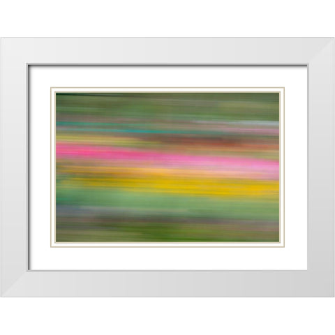 France-Giverny Abstract of flowers in Monets Garden  White Modern Wood Framed Art Print with Double Matting by Jaynes Gallery