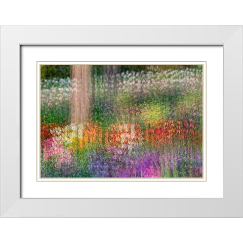 France-Giverny Impression of flowers in Monets Garden  White Modern Wood Framed Art Print with Double Matting by Jaynes Gallery