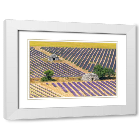 Europe-France-Provence-Lavender field and stone huts in Sault Plateau White Modern Wood Framed Art Print with Double Matting by Jaynes Gallery