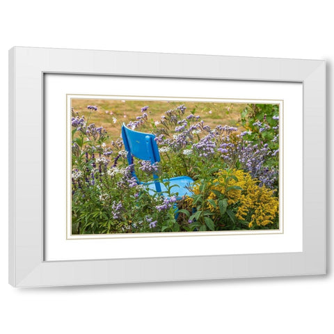 France-Haute-Vienne-Limoges Flowers and a chair in a garden in Limoges White Modern Wood Framed Art Print with Double Matting by Wilson, Emily