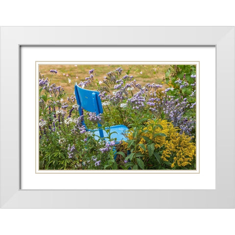 France-Haute-Vienne-Limoges Flowers and a chair in a garden in Limoges White Modern Wood Framed Art Print with Double Matting by Wilson, Emily